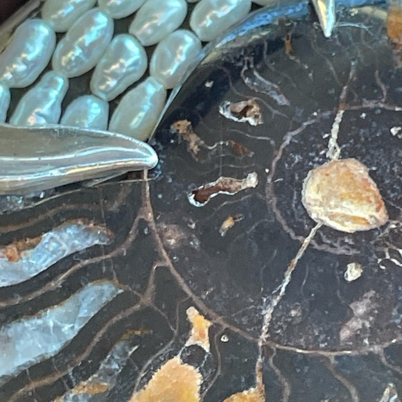 Prehistoric Fossil over Sterling Silver - Picture 8 of 10